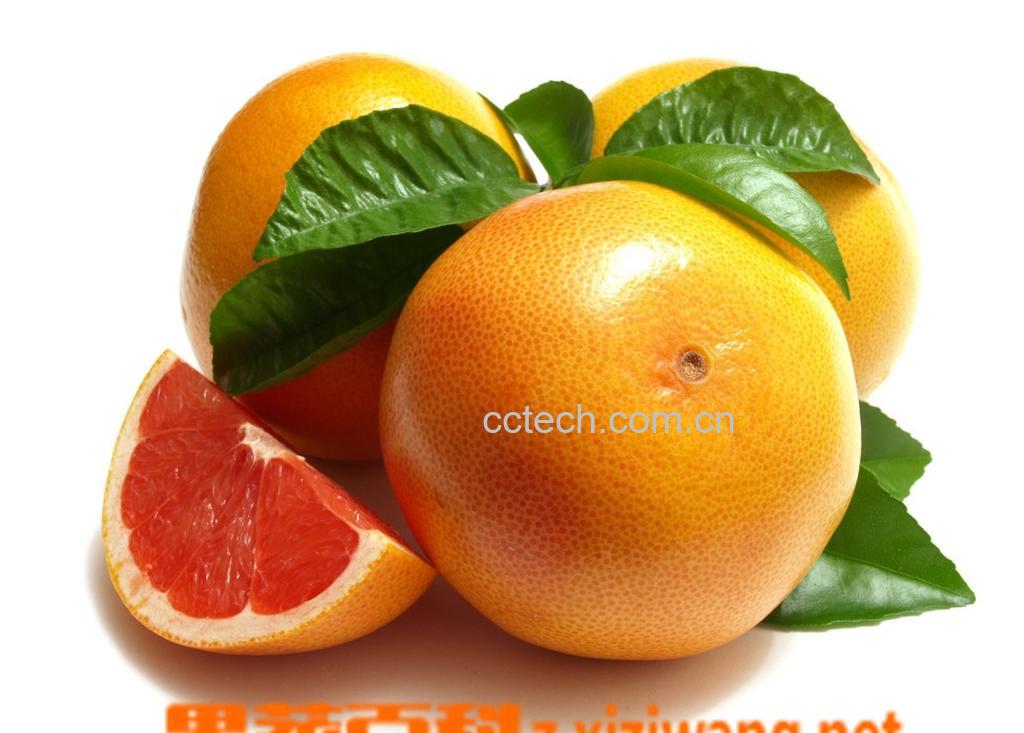 果蔬百科西柚-0