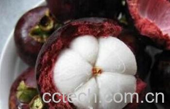 果蔬百科山竹-0