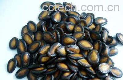 果蔬百科西瓜子-0