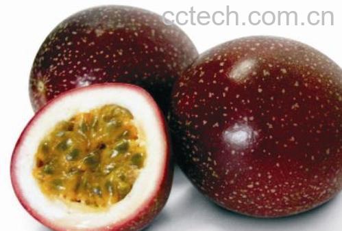 果蔬百科百香果的功效与作用-0