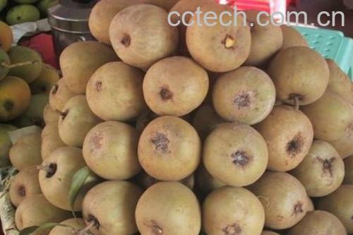 果蔬百科人心果怎么吃 人心果吃法技巧-0