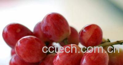 果蔬百科红提-0