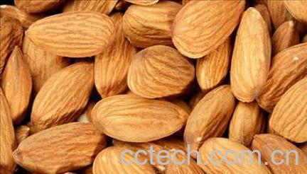果蔬百科甜杏仁的功效与作用-0