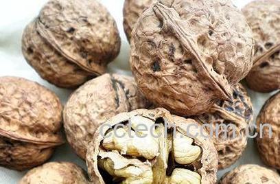 果蔬百科核桃果的功效与作用-0