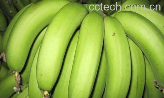 果蔬百科催熟香蕉-0