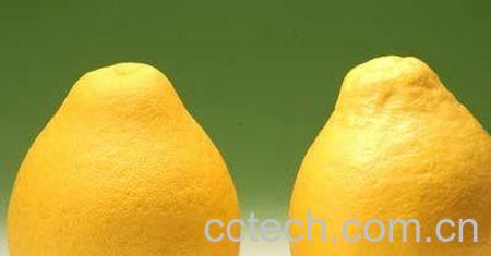 果蔬百科 吃柚子的好处和坏处-0