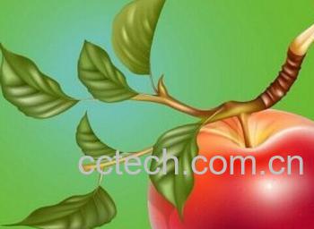 果蔬百科苹果-0