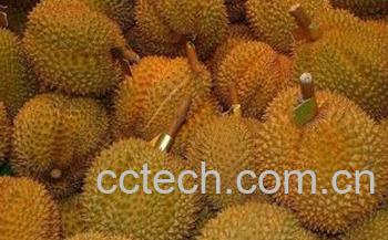 果蔬百科榴莲-0