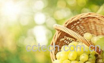 果蔬百科葡萄-0