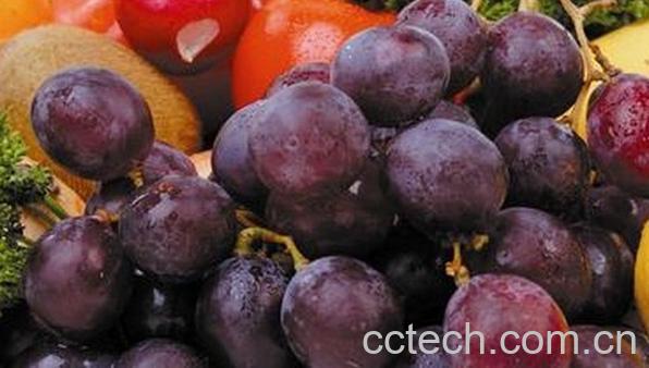 果蔬百科怎么识别葡萄是催熟的-0