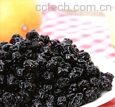 果蔬百科蓝莓果干-0