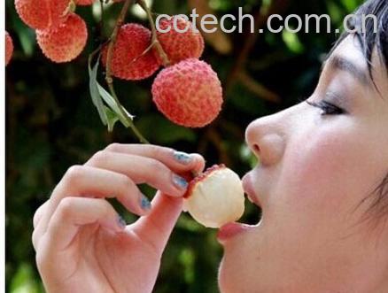 果蔬百科荔枝-0