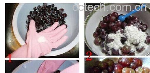 果蔬百科葡萄-0