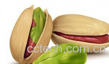 果蔬百科坚果-0