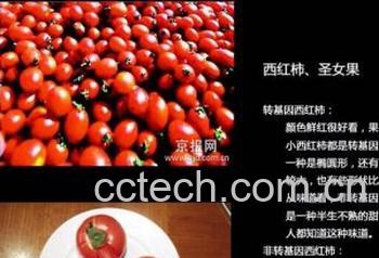 果蔬百科转基因食品-0