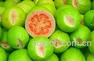 果蔬百科无花果的功效与作用-0