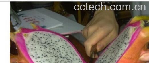 果蔬百科火龙果-0