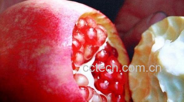 果蔬百科石榴-0