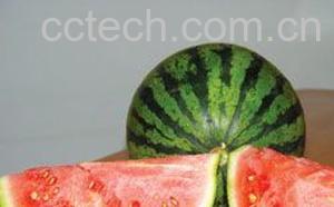 果蔬百科西瓜-0