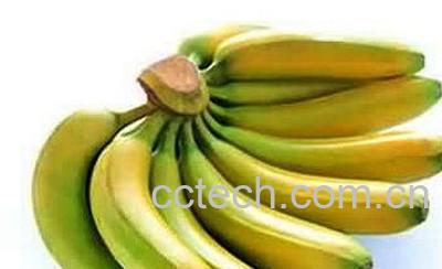 果蔬百科香蕉-0