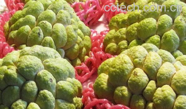 果蔬百科释迦果-0