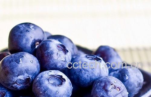 果蔬百科蓝莓怎么吃最有营养 蓝莓吃法技巧-0