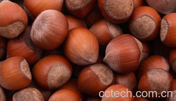 果蔬百科板栗-0