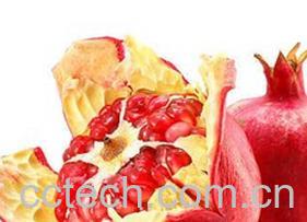 果蔬百科 石榴皮的药用价值-0