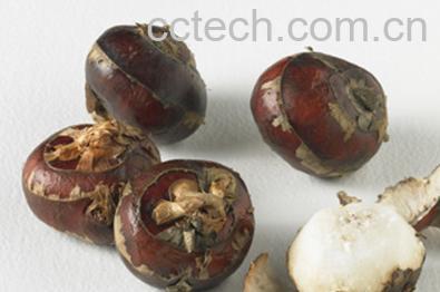 果蔬百科荸荠怎么去皮 荸荠去皮妙招-0