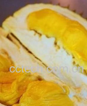 果蔬百科榴莲-0