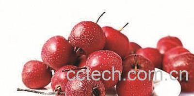 果蔬百科野山楂-0