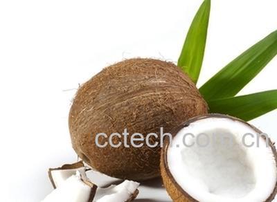 果蔬百科椰子-0