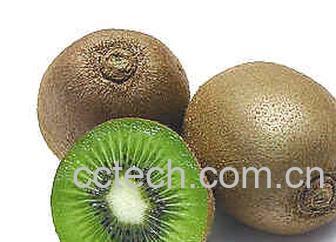 果蔬百科 猕猴桃怎么挑选-0