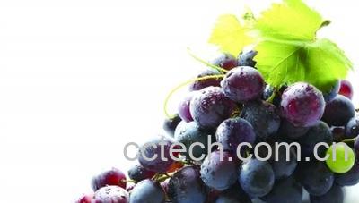 果蔬百科 葡萄皮的营养价值和功效-0