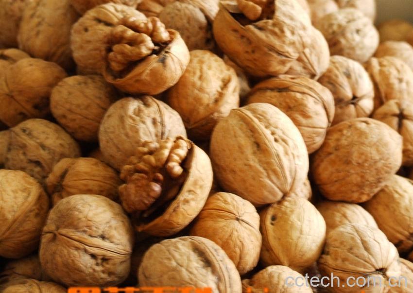 果蔬百科 孕妇吃核桃有什么好处-0