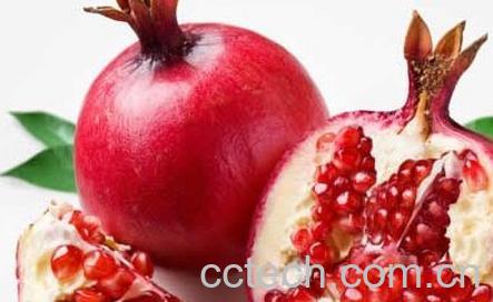 果蔬百科石榴-0