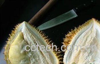 果蔬百科榴莲的核能吃吗 炒着吃味道如何-0