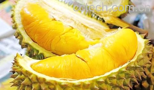 果蔬百科榴莲-0