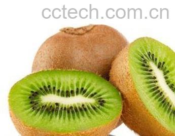 果蔬百科奇异果-0