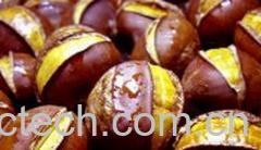 果蔬百科生栗子-0