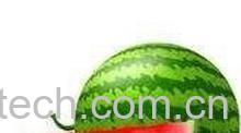 果蔬百科西瓜-0