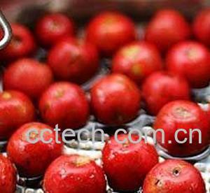 果蔬百科吃山楂的坏处 空腹吃山楂胃里长石头-0