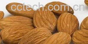 果蔬百科杏仁-0