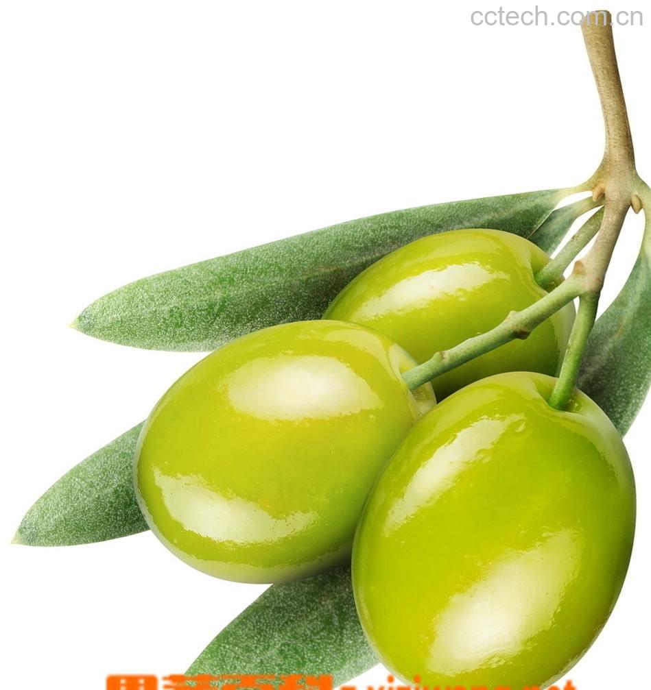 果蔬百科橄榄-0