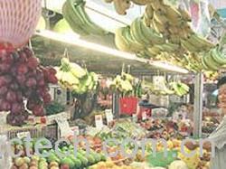 果蔬百科水果-0