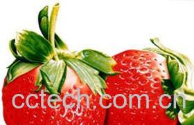 果蔬百科草莓-0