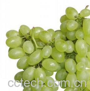 果蔬百科青提子-0