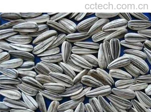 果蔬百科瓜子-0