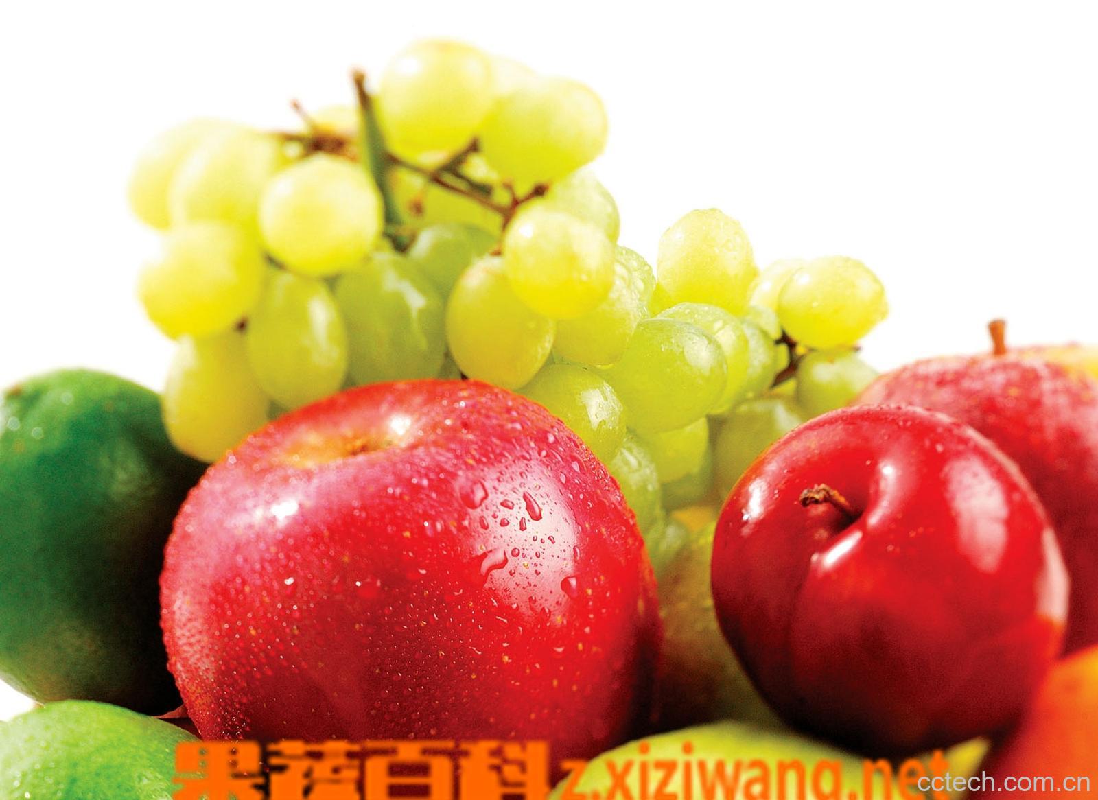 果蔬百科水果-0