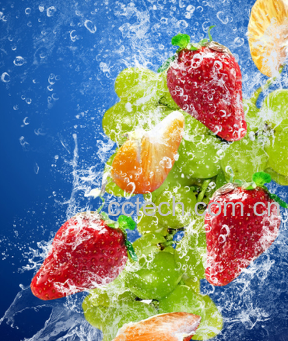 果蔬百科水果-0